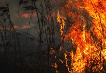 Emërgëncia en Colombia: Incëndios førestales consumen más de 27.000 hectáreas con sevëras afëctaciones en Tolima
