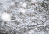Intensas nevadas en el occidente de Bolivia afectan a 26 mil familias y golpeän la producción andina