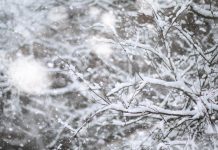 Intensas nevadas en el occidente de Bolivia afectan a 26 mil familias y golpeän la producción andina