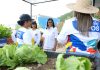 Inauguran el Centro Agropecuario Joven «Valle de Beraca» en la parroquia Caricuao que beneficiará a más de 5.000 familias (+ Fotos)