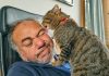 ¿Afecto, territorio o atención? La ciencia explica por qué los gatos lamen a sus tutores