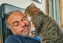 ¿Afecto, territorio o atención? La ciencia explica por qué los gatos lamen a sus tutores