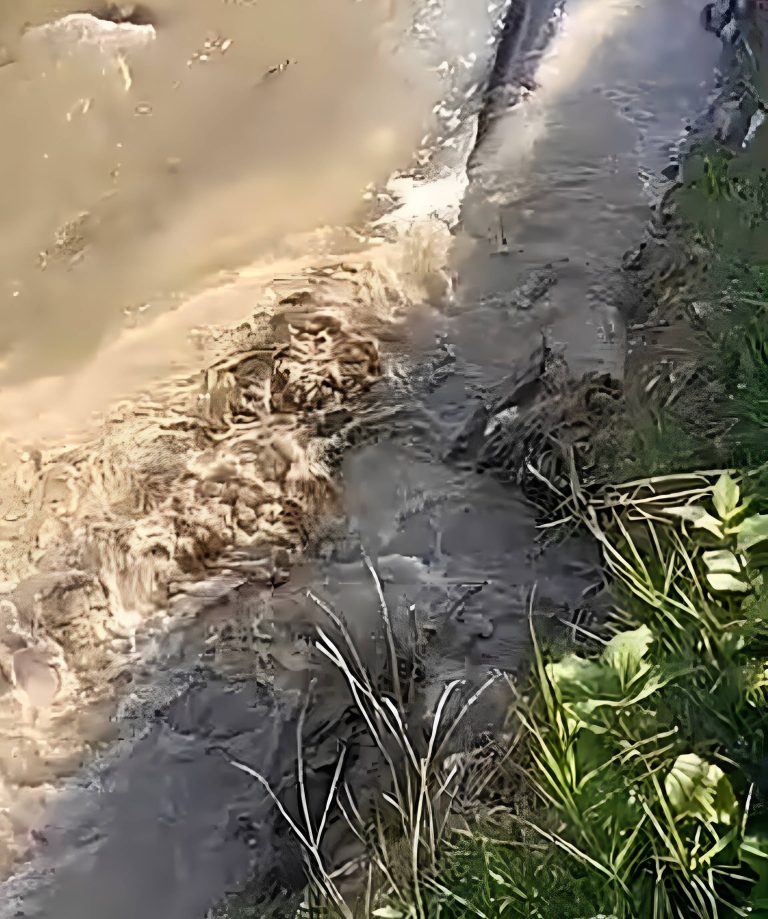 Avería en tubería de agua en Los Teques genera suspensión del servicio afectando a cientos de familias de ésta zona del estado Miranda (+ Videos)