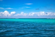 Un estudio alertâ sobre el impacto de las especies invasoras en la red trófica marina del archipiélago de Chagos