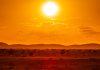 Francia registró una søbrëmørtälïdäd de 7.000 personas hasta finales de julio debido a las olas de calor