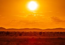 Francia registró una søbrëmørtälïdäd de 7.000 personas hasta finales de julio debido a las olas de calor