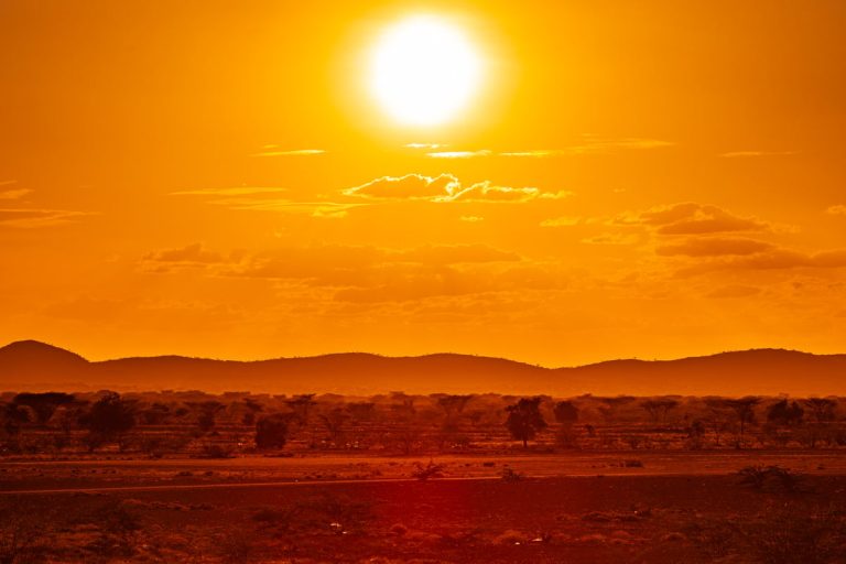 Francia registró una søbrëmørtälïdäd de 7.000 personas hasta finales de julio debido a las olas de calor 