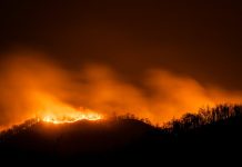 Cinco incendiøs forëstalës se mantienen activos en el departamento de Cundinamarca en Colombia