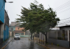 Vientos huracanadøs provocan severos däñøs en viviendas, vías y red eléctrica de varios municipios del Táchira