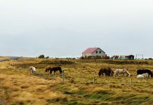 El «mejor pueblo turístico del mundo» acoge a miles de visitantes en su cita medieval en Portugal