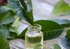 Vinagre blanco y laurel: el truco casero de limpieza que elimina los malos olores sin dejar rastro ácido