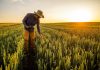 9 de septiembre Día Mundial de la Agricultura: Una fecha para reconocer el esfuerzo de los productores y la seguridad alimentaria