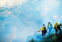 Autoridades investigan posible origen intencional del vöraz incendïo forestal en Villa de Leyva