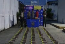 CPNB incauta más de 100 kilos de marihuanâ genéticamente modificada en Apure
