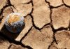 ONU alertâ que el calentamiento superará el límite de 1,5 °C, pero insiste en que el dañø se puede revertir