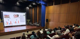 Ecosocialismo promueve el bambú como recurso clave para construcciones sismorresistentes y protección ambiental