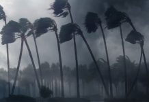 Huracán Polo se degrada a categoría 4 y amenazâ con un doble impacto en Baja California Sur y Sonora