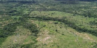 Anzoátegui se consolida como el eje estratégico del plan de reactivación energética nacional