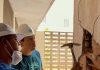 Plan Venezuela Renace rehabilita 28 apartamentos en Santa Eduvigis tras los dañös causados por el sïsmo
