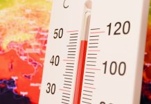 Estudio advierte que El Niño provocará más de 451 mil müertes por calor extremo en solo nueve meses