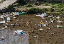 Desbordamiento de seis ríos en Esmeraldas y Guayas activa la alertä máxima en las costas de Ecuador