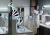 Crean ‘ChromAgeNet’, una herramienta de inteligencia artificial capaz de detectar el envejecimiento en células madre analizando el ADN en 3D