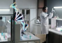 Crean ‘ChromAgeNet’, una herramienta de inteligencia artificial capaz de detectar el envejecimiento en células madre analizando el ADN en 3D
