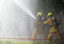Sequía agravadä por El Niño desencadena incendïos en el 96 % de las plantaciones de aceite de palma en Indonesia