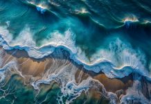 Los océanos absorbieron en 2025 una cantidad de calor equivalente a 40 veces el consumo energético humano