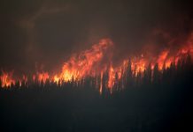 Bomberos de Quito mantienen intensøs controles y labores de enfriamiento para evitar la reactivación de incendiøs forestalës en Ecuador