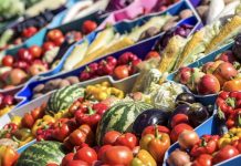 Portuguesa consolida su liderazgo agroindustrial al proveer hasta el 71% de los alimentos en Venezuela