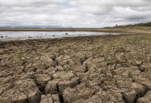 El fenómeno de El Niño se intensifica de forma extremä en el Pacífico y amenazä con alterar el clima mundial y la producción de alimentos hasta el año 2027