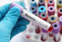 ¡Alertä sanitaria en Alemania! Detectan nuevos casos de malaria cerca del aeropuerto de Fráncfort en pacientes sin historial de viaje