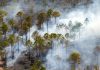 Un voraz incendiø forestal en la isla de Brač obliga a evacuar a 700 personas en Croacia