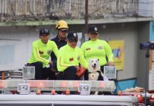 Tsunami, héroe de cuatro patas, engalanó la XVI Caminata Canina La Molinera en Tovar