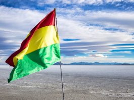 Senado de Bolivia aprueba histórico crédito del FMI por 1.900 millones de dólarës para respaldar las reformas económicas en medio de fuertës tensionës políticas