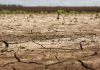 Venezuela enfrentará sequías y altas temperaturas por intensificación del fenómeno El Niño
