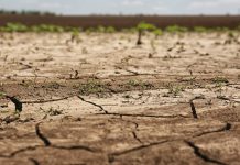 Venezuela enfrentará sequías y altas temperaturas por intensificación del fenómeno El Niño