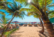 19 de septiembre: Día Mundial de Las Playas destaca el rol crucial de los ecosistemas marinos como barreras naturales frente al cambio climático y la urgenciä de su preservación