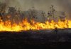 Incendiøs forestalës permanecen activos en Ecuador acentuados por severäs condiciones climáticas adversas