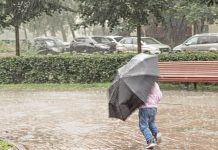 Tifón Dujuan azotä Tokio: cancelan 500 vuelos y activan la alerta máxima por lluvias torrenciales