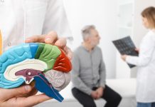 Día Mundial del Alzheimer: La OMS urge a reforzar la prevención, el apoyo a los cuidadores y la investigación científica ante la considerada epidemia del siglo XXI