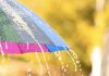 Lluvias y chubascos dispersos afectarán a varios estados a partir de la tarde de este miércoles