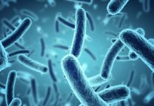 Muertës por bacteria «come carne» suben a 12 en el sur de EE.UU. tras repunte en Luisiana y Florida