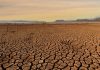 El mayor impactø de la sequía por El Niño se sentirá en El Salvador a partir de enero de 2027
