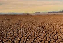 El mayor impactø de la sequía por El Niño se sentirá en El Salvador a partir de enero de 2027