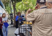 Alcaldía de Chacao y vecinos promueven reforestación con la siembra de un apamate en Bello Campo (+ Fotos)