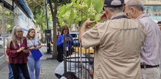 Alcaldía de Chacao y vecinos promueven reforestación con la siembra de un apamate en Bello Campo (+ Fotos)