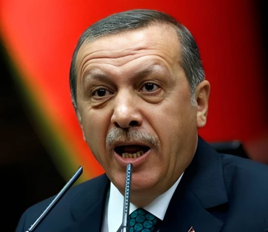 Recep Tayyip Erdoğan afirma ante la ONU que Türkiye será la voz de un Estado palestino libre y soberano ante la ausencia de Mahmud Abás