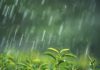 Inameh prevé precipitaciones en gran parte del país por el paso de la Onda Tropical 52